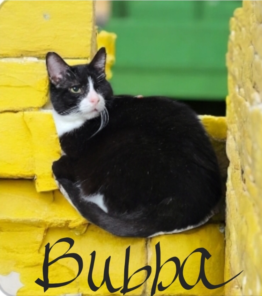 Bubba