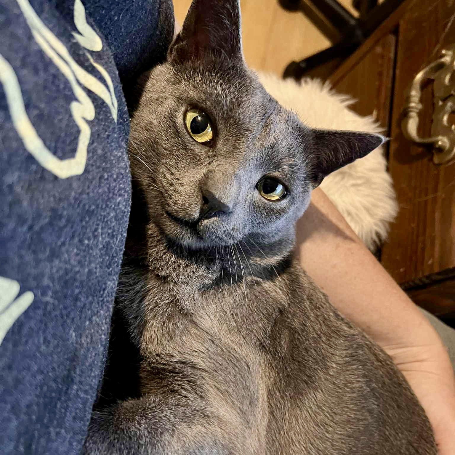 Little Boy
