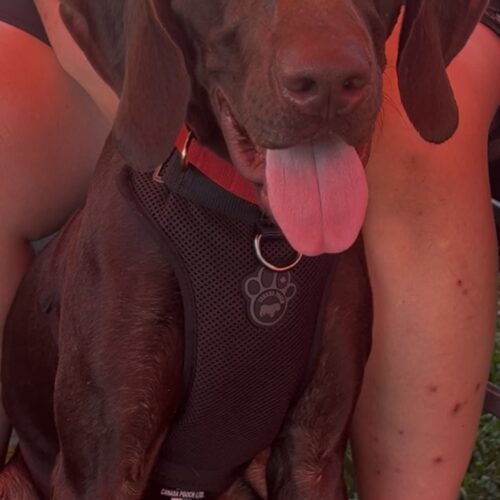 Gunner
