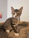 Margot (Bonded with Eve) photo 4