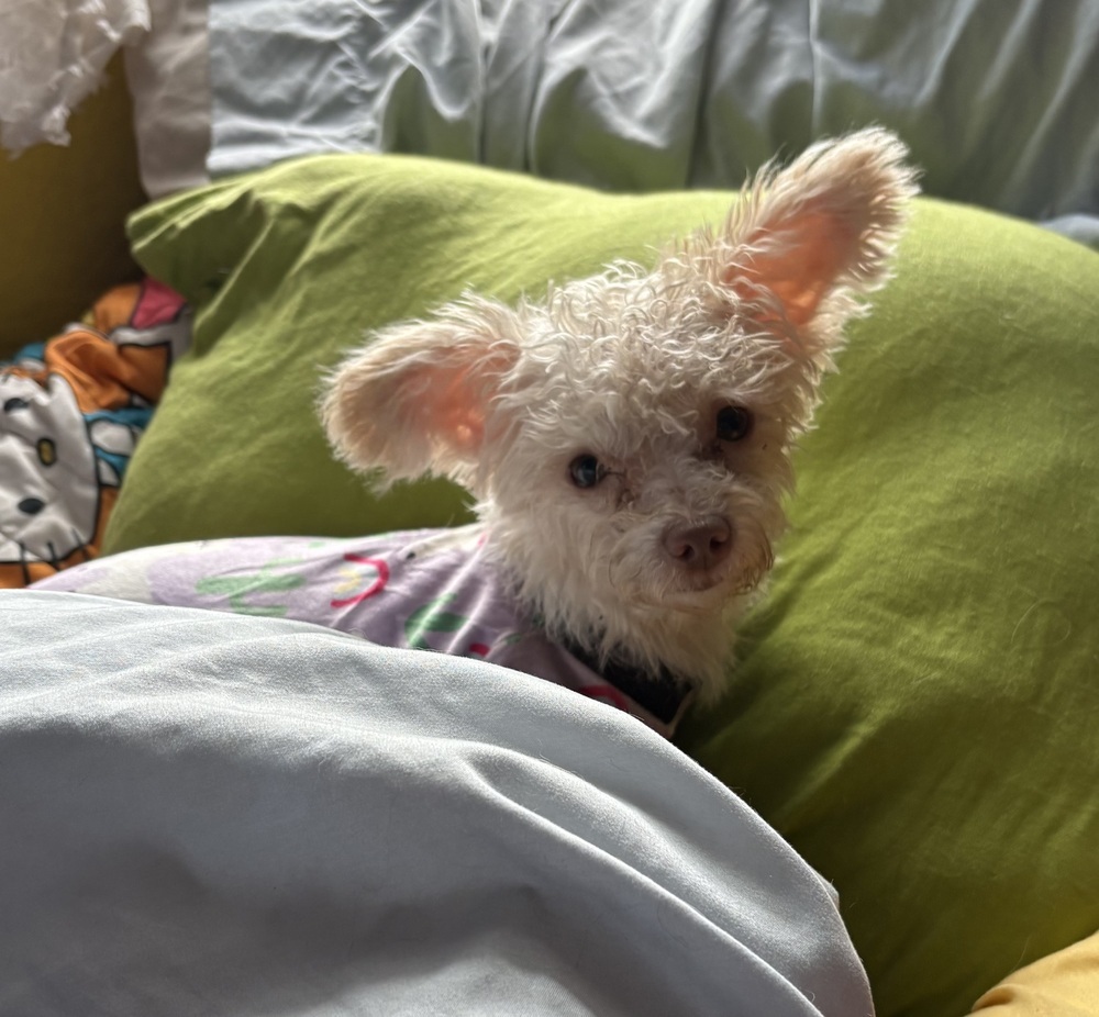 Llamie (June)