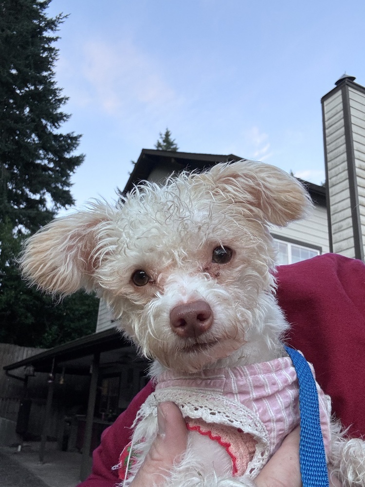 Llamie (June)