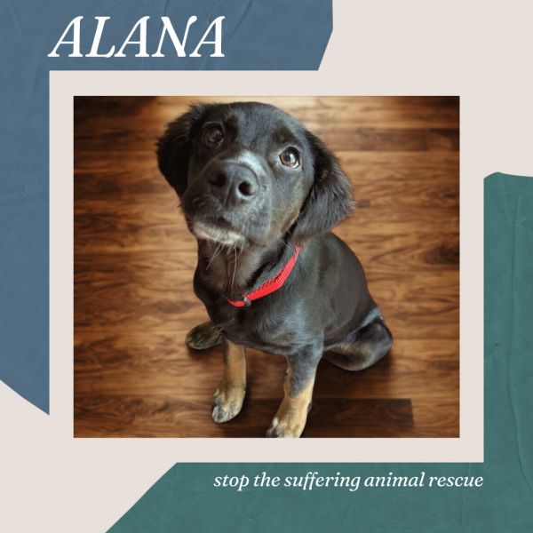 Alana thumbnail 5