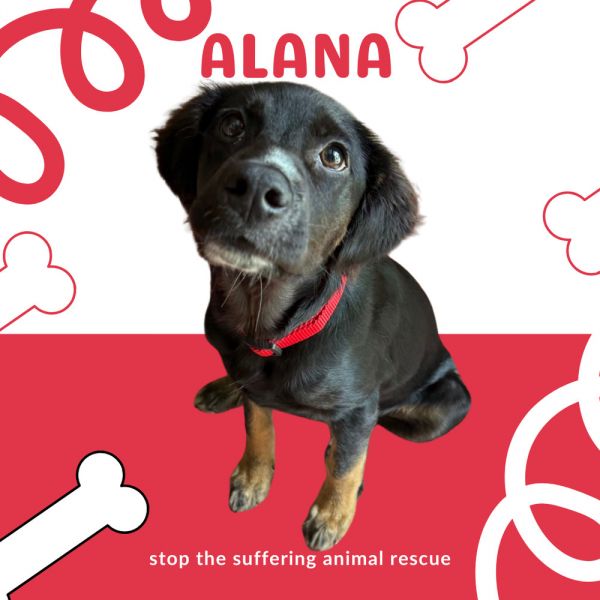 Alana thumbnail 6