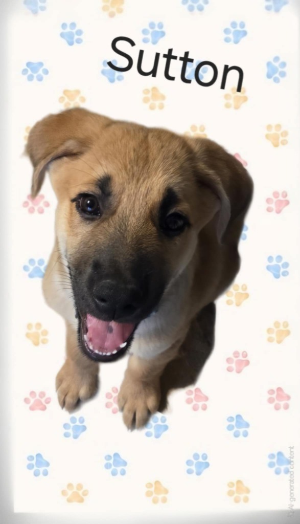 Sutton
