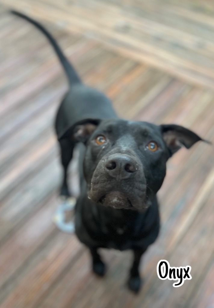 Onyx