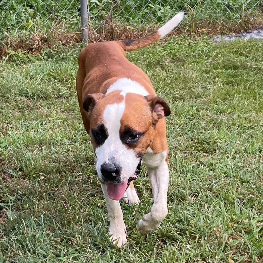 Ruger