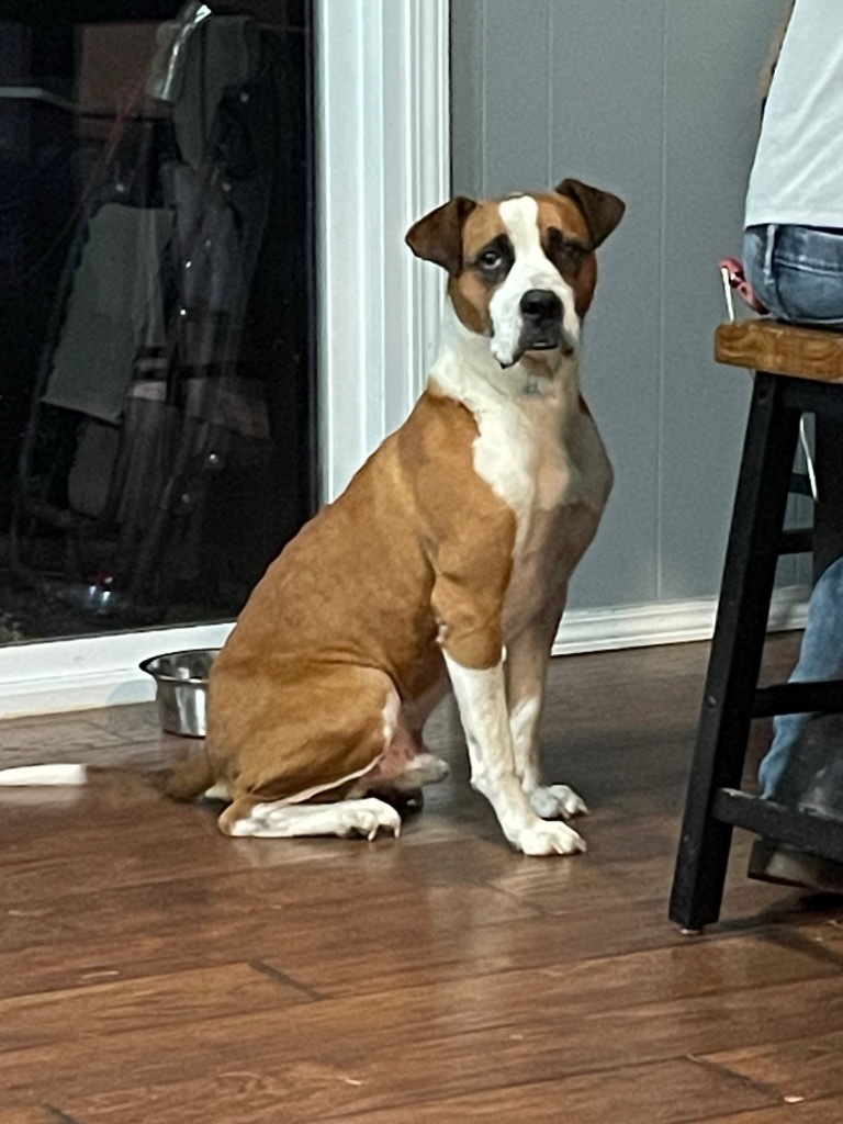 Ruger
