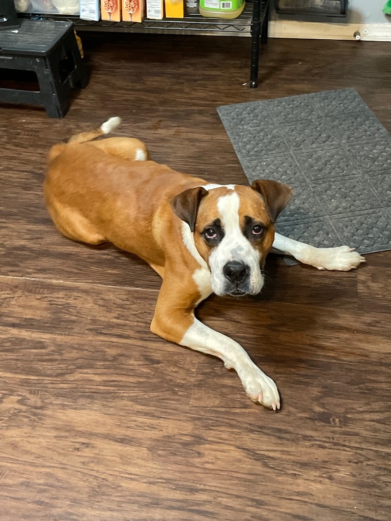 Ruger
