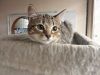 Clarabelle photo 2