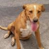 Josefina photo 3