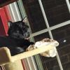 Timon photo 2