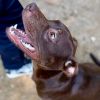 Twix photo 6