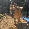 Kaiser photo 2