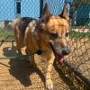 Kaiser photo 3