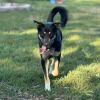 Deuce photo 2