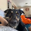 Deuce photo 6