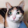 Catiana photo 2