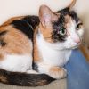 Catiana photo 3