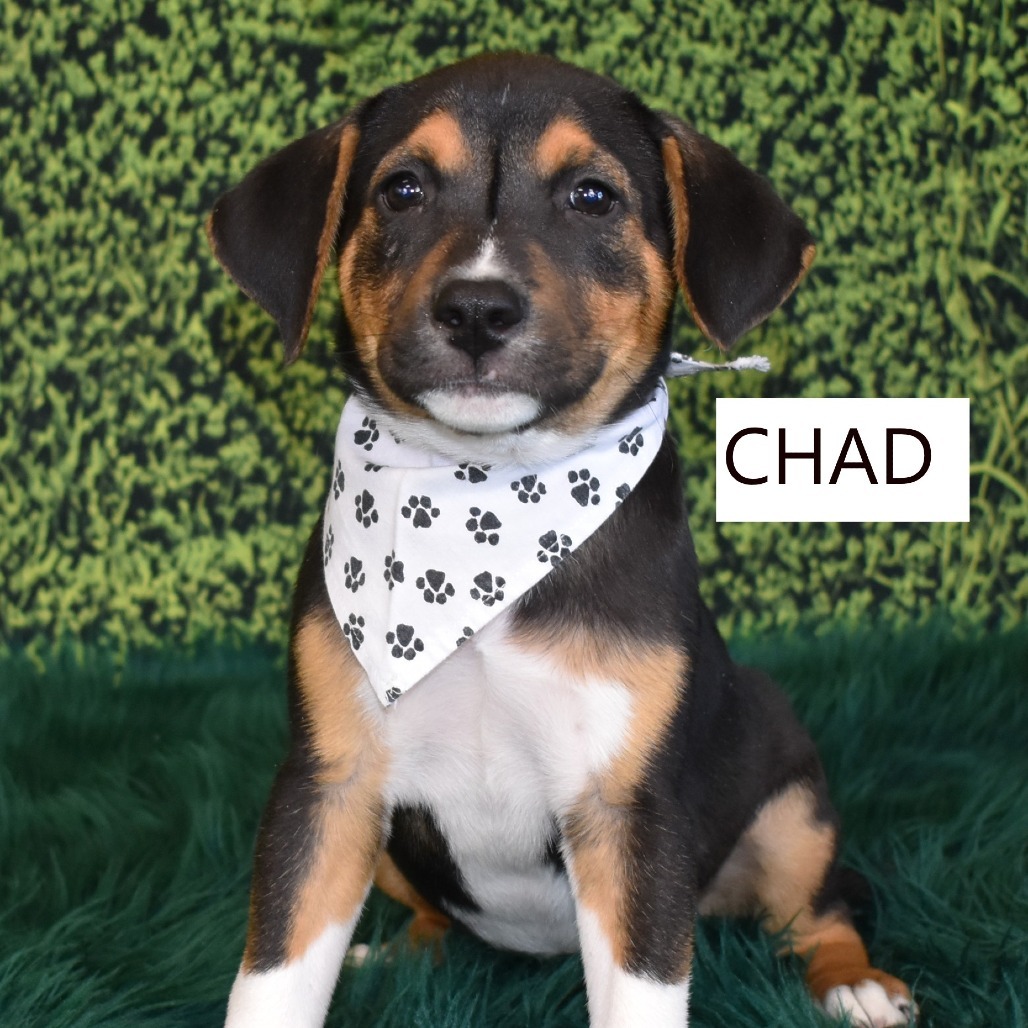 Chad