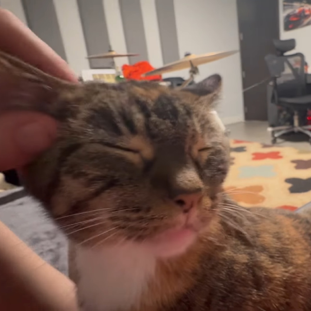 Princess