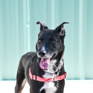 Ginny, Senior Female unknown