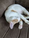 Barb photo 5