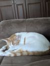 Barb photo 6