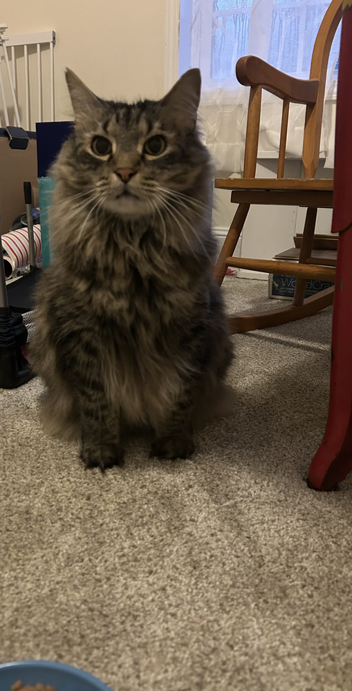 Frankie