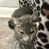 Mister Boy photo 2