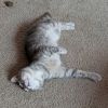 Mister Boy photo 3