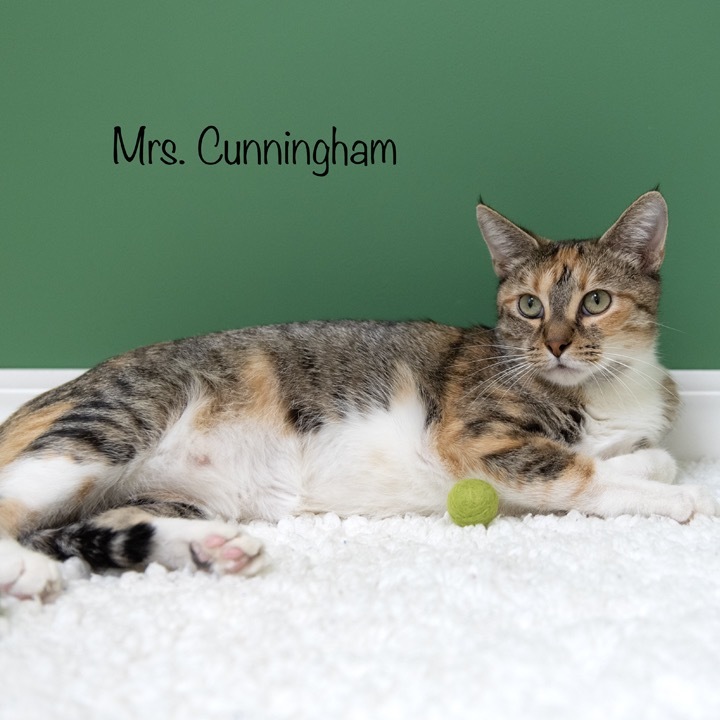 Mrs. Cunningham
