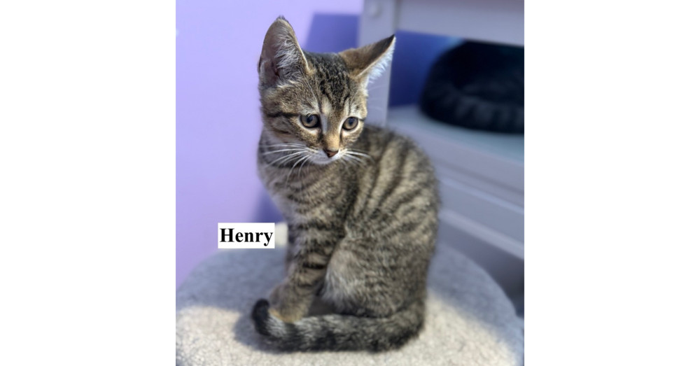 Henry