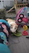Egor photo 5