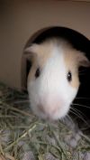 Egor photo 6