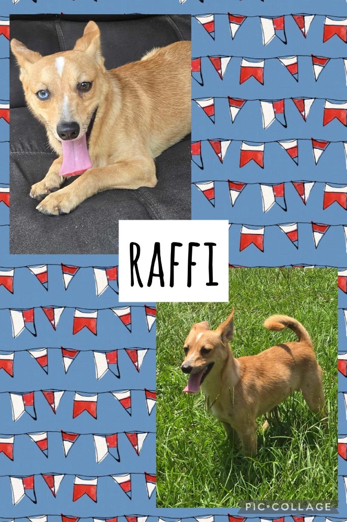 Raffi