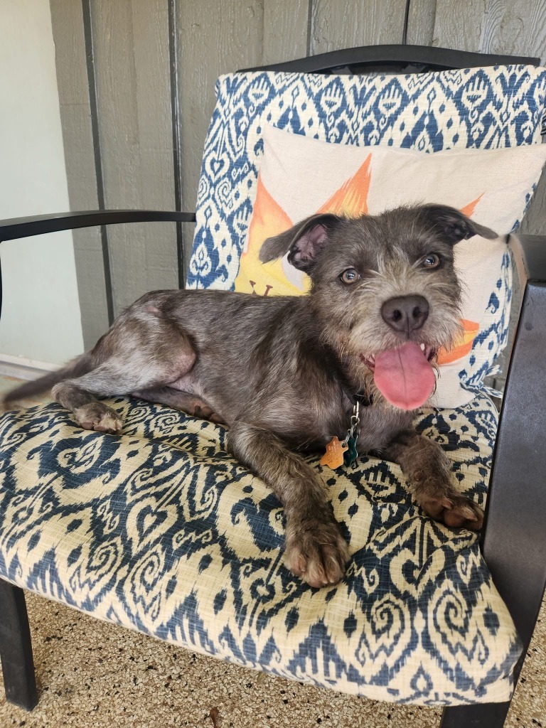 Winnie