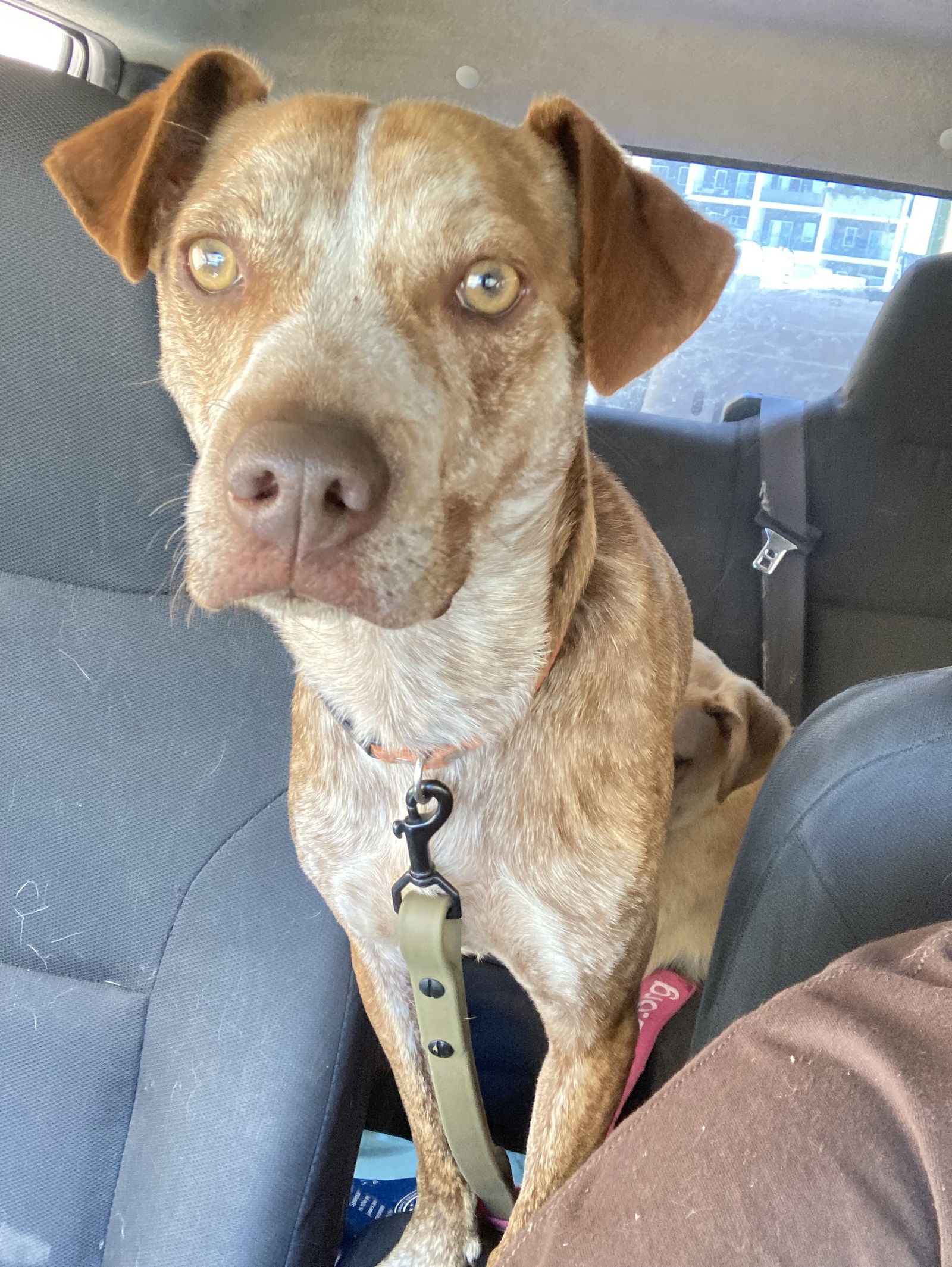 RUSTY