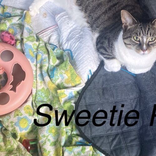 Sweetie Pie