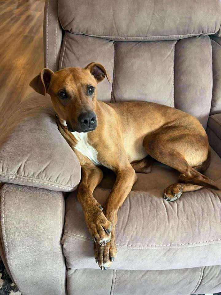 Max