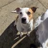 Skye photo 4