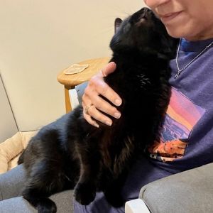 Jonas -- Bonded Buddy With Cocoa, Senior Male unknown
