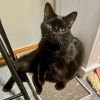 Jonas -- Bonded Buddy With Cocoa photo 4