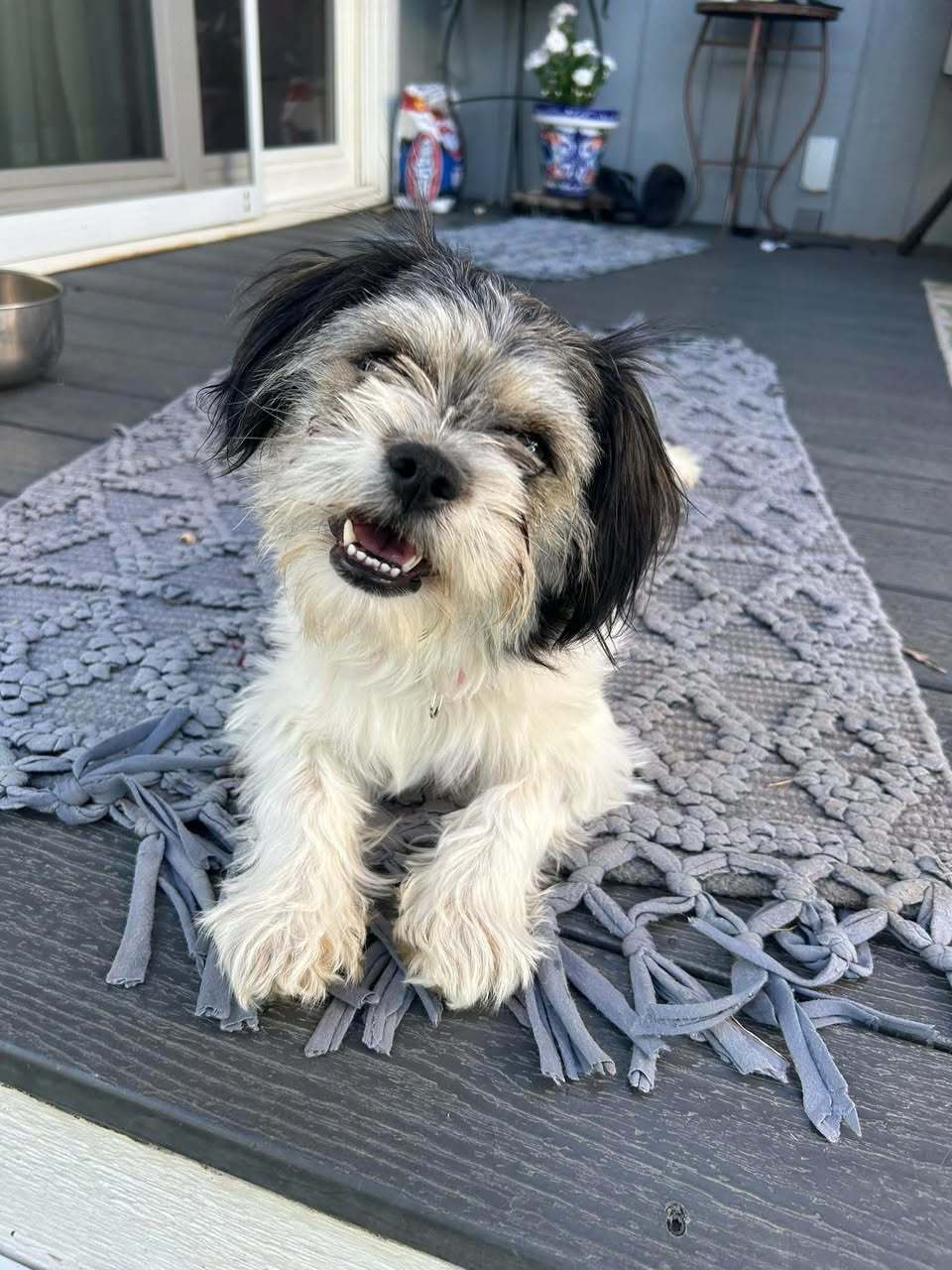 Bitsy