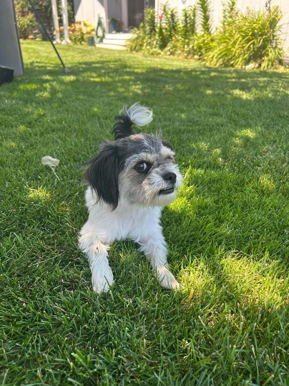 Bitsy