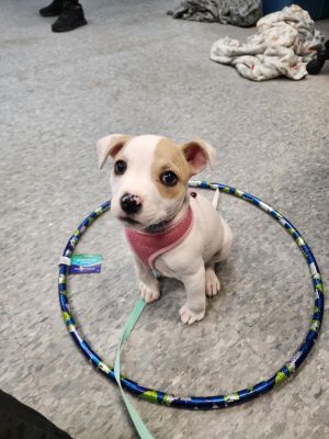 Punky Brewster, Baby Female unknown