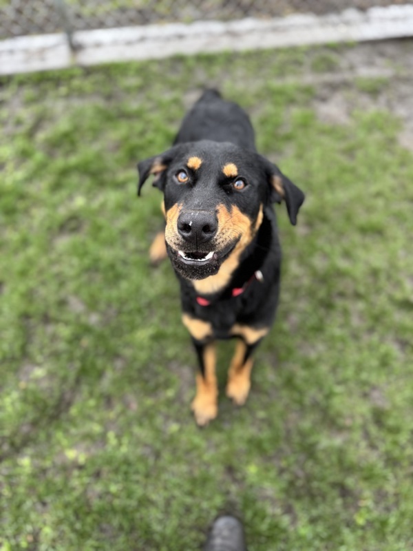 Jack