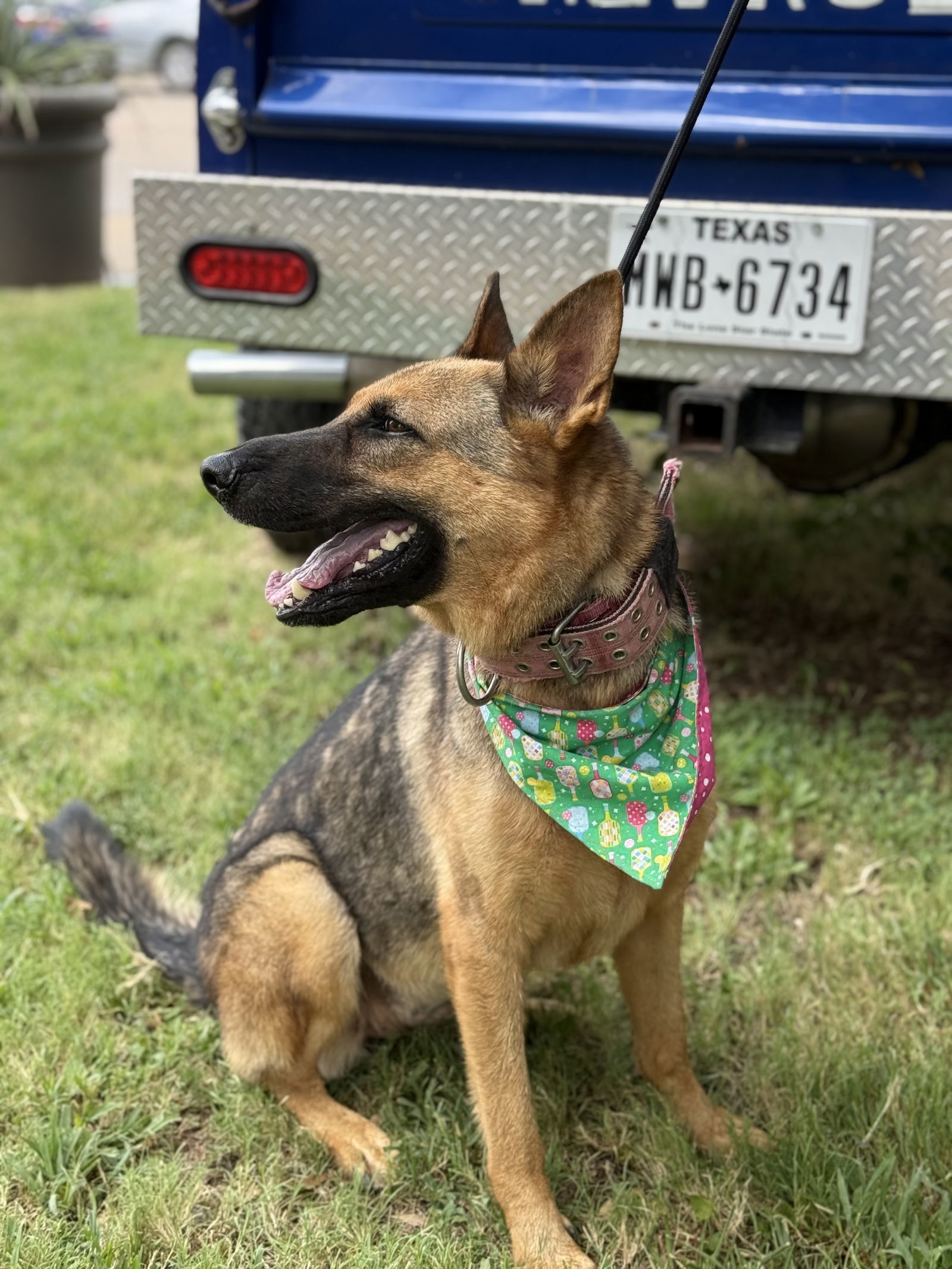 Dakota