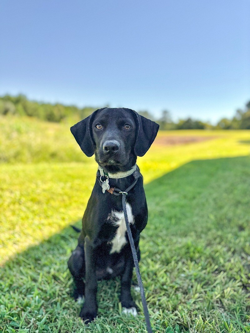 Tobias