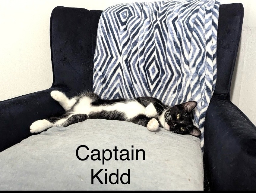 Free-118- Captain Kidd bonded with Bubba Shrimp